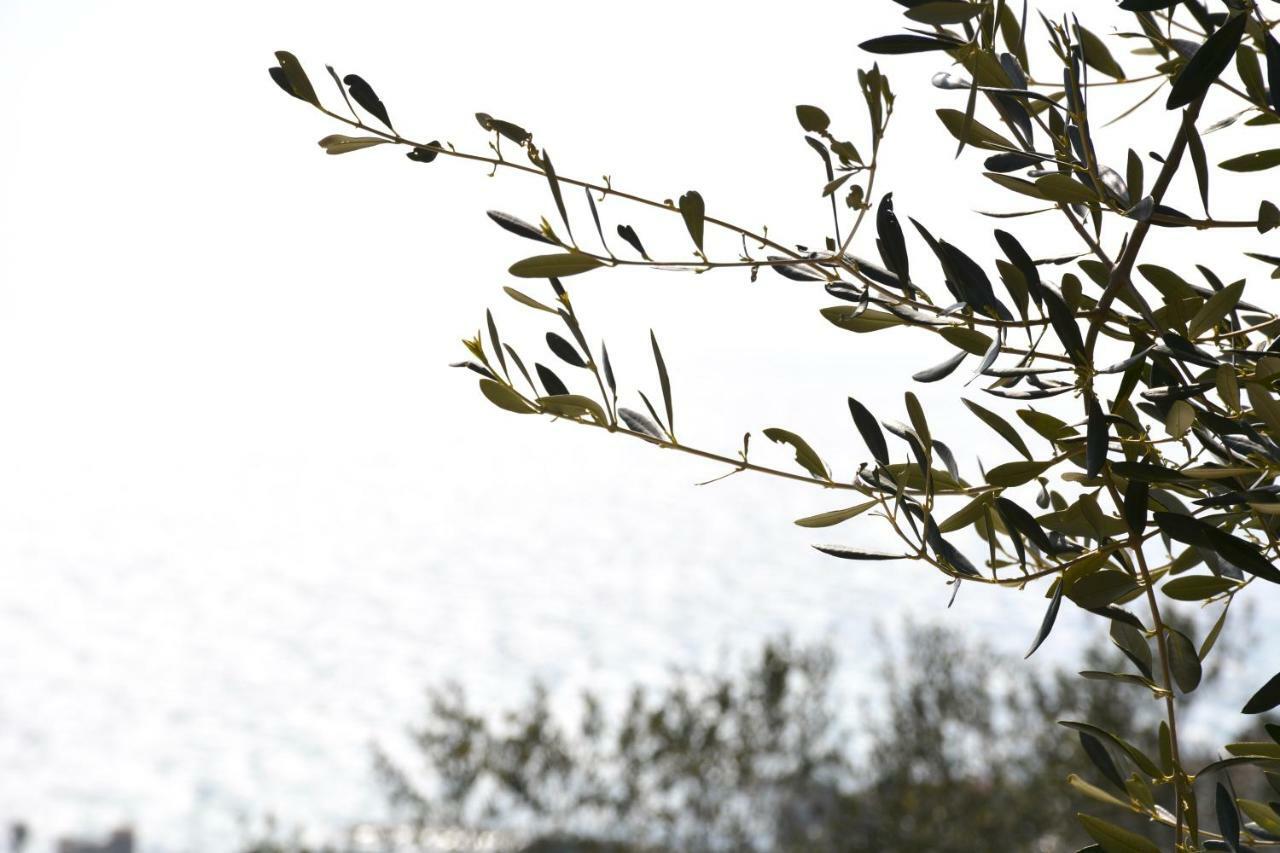 فيلا La Torretta إمبيريا المظهر الخارجي الصورة